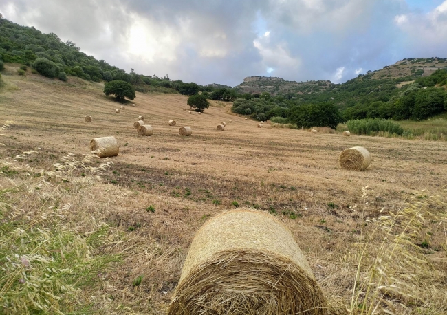 Sardegna Fascino E Natura